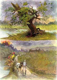 Le chne et le roseau, illustration de G. Fraipont